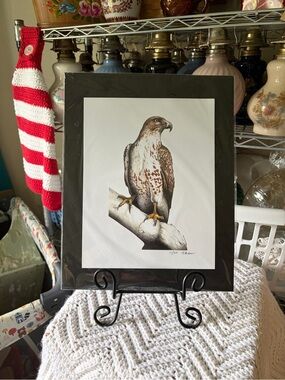 Limited Edition Print of a Ferruginous Hawk, signed and numbered 11/25